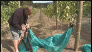 Bird Netting Installation  installing side netting [upl. by Wilmer987]