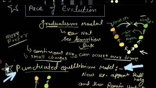 Evolution gradualism and punctuated equilibrium model  pace of evolution csir net [upl. by Winn]