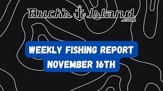 Fishing ReportNovember 16th Neely Henry Weiss Logan MartinLay GuntersvilleLake MartinJordan [upl. by Dela]