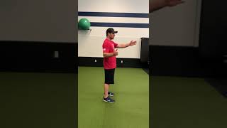 Overhead Squat Assessment [upl. by Skillern]