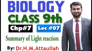 Summary of light reaction  Zscheme  Bioenergetics  Chapter 7  9th class Biology  Lec 7 [upl. by Eecart]