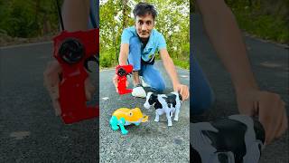 Rc Remote Control Cow 🐄 And Frog testing 😜 [upl. by Aset]