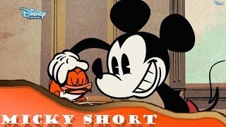 Micky Maus Short  Fisch an Land  Disney Channel [upl. by Aik149]