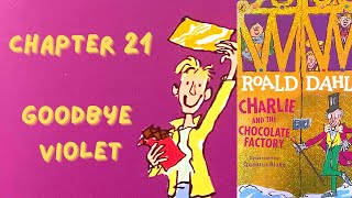 Charlie and the Chocolate Factory  Chapter 20  Read Aloud [upl. by Chrisse]