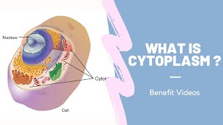 What Is Cytoplasm [upl. by Atkins612]