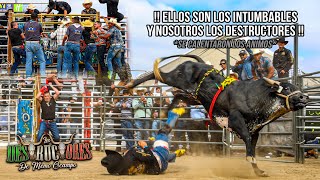 ELLOS SON LOS INTUMBABLES Y NOSOTROS LOS DESTRUCTORES  10 TOROS  Destructores En Salinas CA 2024 [upl. by Ahtram597]