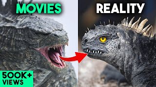 5 DANGEROUS Movies Animals in Real Life [upl. by Ditzel]