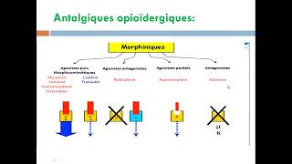 cour14 les antalgiques [upl. by Norahc]