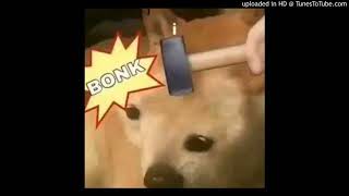 bonk earrape edition [upl. by Aerbma]