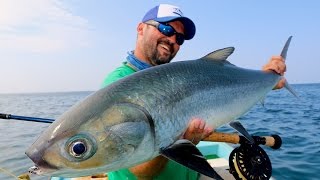 Arabian Milkfish on Fly [upl. by Kalil]