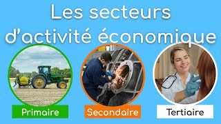 Les secteurs dactivité économique [upl. by Lockwood]