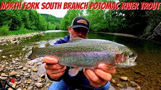 Trout Fishing West Virginias North Fork South Branch Potomac River [upl. by Lepp]