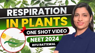 Respiration in Plants Class 11 one shot NCERT  All Concept amp PYQS  Ritu Rattewal  NEET Biology [upl. by Etnomal]