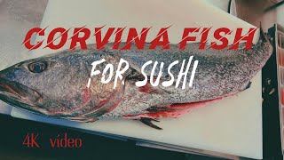 How to cut corvina fish [upl. by Akimehs]