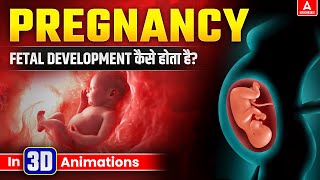 Fetal Development Kaise Hota Hai  Pregnancy Journey Explained  3D Animation [upl. by Ennaeirb792]