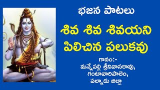 Shiva Shiva Shivayani Pilichina  Telugu bajana patalu  Bhajanalu  Bhakthi patalu  BSR Lakshmi [upl. by Clein367]