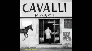 Cavalli Marci [upl. by Aciram551]