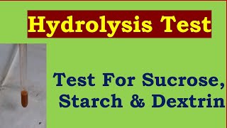 Hydrolysis Test For Sucrose amp Polysaccharides  Starch amp Dextrin [upl. by Thirzi]