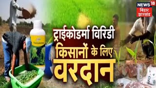 Trichoderma Viride किसानों के लिए है वरदान  जानिए कैसे  Latest News  Annadata [upl. by Fernas]