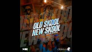 Ding Dong  Old Skool New Skool Official Audio [upl. by Nwahsd]