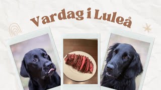 Vlog från Luleå [upl. by Garlan]