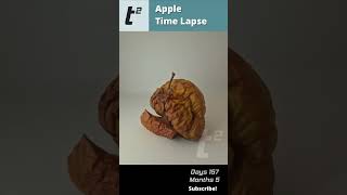 Apple rotting Time Lapse [upl. by Elokcin]