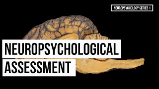 Neuropsychological Assessment Series 1 [upl. by Dame]