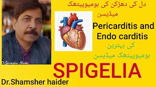 BENIFITS OF SPIGELIA Heomepathy medicine۔heart problem۔ [upl. by Kamilah495]