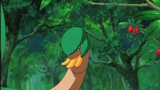 tropius slurps [upl. by Yttig]