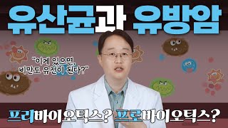 암 예방은 물론이고 전이재발을 막아주는 유산균 올바른 섭취방법 [upl. by Gen]