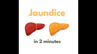 Jaundice in under 2 mins [upl. by Arriek]