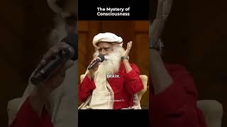 The Mystery Of Consciousness  Sadhguru shorts [upl. by Atsirt]