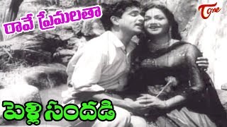 Pelli Sandadi Songs  Raave Naa Premalatha  ANR  Anjali Devi  OldSongsTelugu [upl. by Teece]