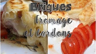 ♥♥♥ Recette facile BRIQUES LARDONS FROMAGE ♥♥♥ [upl. by Aiehtela]