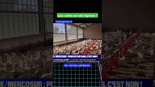 Les agriculteurs sont en colère news new agriculture agriculteur france info information [upl. by Kenley404]