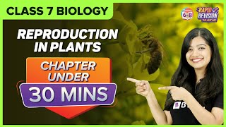 Reproduction in Plants  Chapter Summary under 30 mins  Class 7 Science [upl. by Amzaj801]