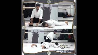 AIKIDO  UKEMI WAZA受身技Level 守 basicquotFallsquot  5 [upl. by Adnawuj]