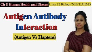 Antigen Antibody Interaction Antigen StructureAntibody Reaction Human Health amp Disease Class 12 [upl. by Arimak]