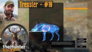 Tressler  10 theHunter Call of the Wild [upl. by Stilu589]