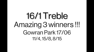 161 Winner at Gowran Park on 1706 [upl. by Eicnarf]