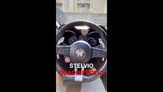 Race Mode  Alfa Romeo Stelvio Quadrifoglio [upl. by Kathleen44]