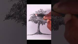 How to draw Banyan tree shorts treedrawing art youtubeshorts drawing shortvideo [upl. by Elsi431]