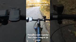 Ce misto e cand treci printro ploaie de frunze Parca sunt confeti 🎉 toamna ebike confeti [upl. by Gorden]