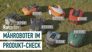 Mähroboter – Review und Test der fleißigen Rasenmäher  Die Ratgeber [upl. by Waldack]