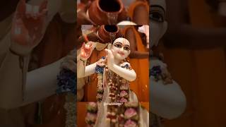 ¶Ek bar aau prabhu ¶🥺💓¶darshan dikhau prabhu¶ 🦚🫂 [upl. by Dunseath]