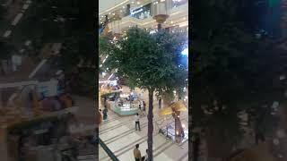 Phoenix Palassio mall Lucknow [upl. by Grimonia]