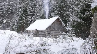 cold winter night in an abandoned hunters log cabin [upl. by Emelda]