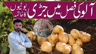 Weed Control in potato crop  Farming Expert 786 [upl. by Lorolla]