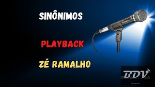 Sinônimos  Zé Ramalho  Karaokê  Instrumental [upl. by Akiret]