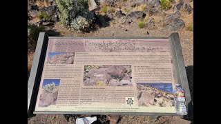 Lagomarsino Petroglyphs [upl. by Haslett199]